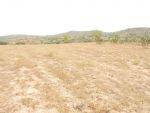 Av terrain dans la campagne