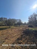Terrain louma av hammamet birbouregba i