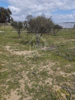 Lots de terrain de 500 m² constructibles à vendre à hammamet sud