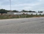 Terrain de 1000 m² à hammamet sud à vendre à 160 md