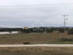 Terrain de 1 hectare à vendre à hammamet sud à 280 md