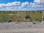 Terrain clôturé de 1000 m² à hammamet sud à vendre à 110 md