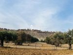Vente terrain monchar hammamet