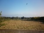 Av terrain vue mer zone craxi hammamet