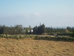 Terrain 1000 vue mer zone craxi hammamet