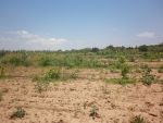 Av terrain agricole 7000m borj hfaidh