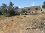 Vente terrain à harboun birbouregba hammamet
