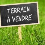 Terrain à vendre à el jedidi