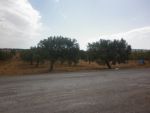A ne pas rater cette offre terrain 750m a la compagne