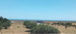 300m hammamet sud 75md