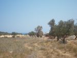 Terrain a hammamet nord pour promotion immobilière