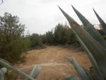 Terrain a hammamet pour promotion immobilière 1300m