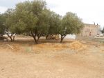 Vente terrain à bâtir à hammamet nord