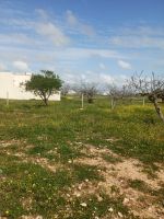 Av terrain de 250m proche de la mer à hammamet sud