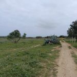 Bonne affaire terrain 290m a 28md à hammamet sud