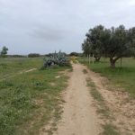 Bonne occasion terrain 290m a 28md à hammamet sud