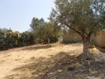 Av 2 lots de terrain hammamet