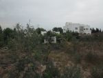 Av terrain en face théâtre hammamet