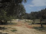Av 5 lots de terrain de différentes superficies à mrezga hammamet