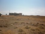 Av 60 hectar jradou zaghwane