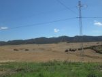 2 hectares direction zaghouan
