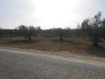 A vendre terrain landareya