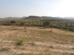 Av terrain 250 hectares