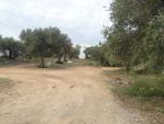 Av terrain pour promoteurgandes villas dans zone touristique