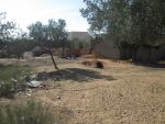 Terrain 730m zone craxi hammamet