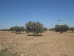 Terrain 5 hectare et 5000m ain rahma