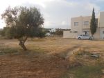 Av terrain à kharouba hammamet nord