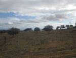 Terrain tafernine sidi jdidi