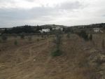 Av terrain agricole à wed lassoued