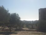 Av terrain 456m à kharrouba hammamet nord