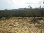 Av terrain avec vue mer à hawaria nabeul