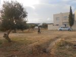 Av un grand terrain à hammamet nord