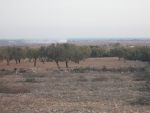 Terrain 2200m dwikhla hammamet