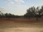 Terrain 6 hectares à 20min de hammamet sud