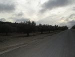 Av à sidi khalifa 20min de hammamet 15000m