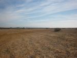 Av terrain agricole à douikhla hammamet
