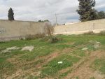 Av terrain dans une zone calme à hammamet