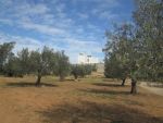 Dans un quartier calme terrain 500m mrezgua