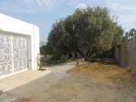 Offre a saisir une petite maison arabe