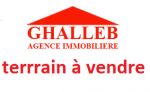 Av 4 hectares titre foncier individuel à hammamet