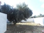Av situe dans un quartier calme à hammamet nord