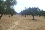 Vente terrain 3300m²