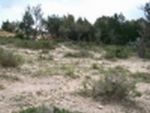 Terrain 1000m²