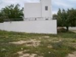 Terrain 560m²