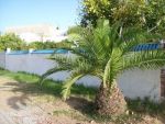 Terrain avec titre foncier à hammamet de 327m2