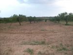Terrain pour une petite exploitaion agricole